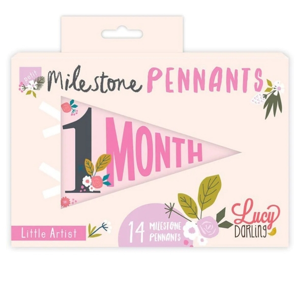 2/$20 Little Artist Milestone Pennants - Picture 2 of 15